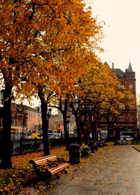 Fall in Belfast
